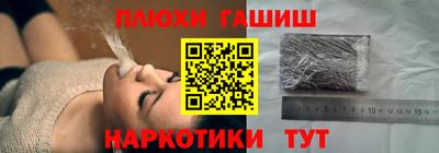 сатива Аргун