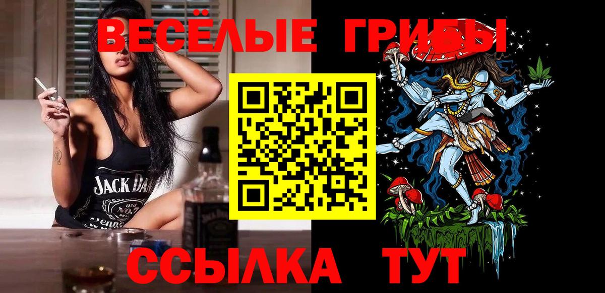 Грозный  Псилоцибиновые грибы Cubensis  Псилоцибиновые грибы мицелий  Вход с VPN 